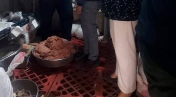 ضبط أكثر من 14 طن أسماك ورنجة وفسيخ ولحوم ودجاج بالدقهلية