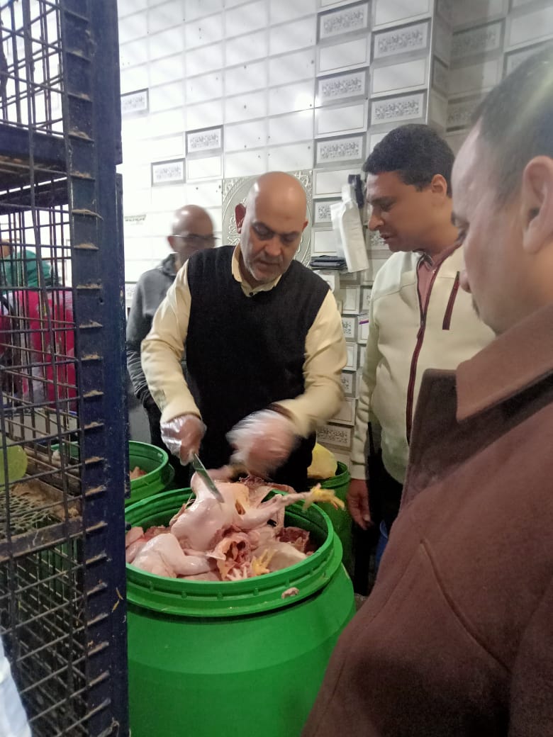 ضبط كميات كبيرة من الدواجن الغير صالحة للاستهلاك الآدمي بالمنوفية 