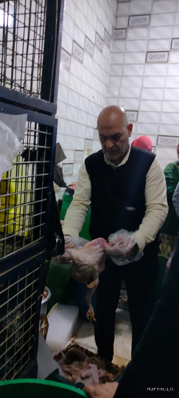 ضبط كميات كبيرة من الدواجن الغير صالحة للاستهلاك الآدمي بالمنوفية 
