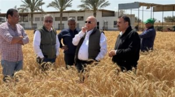 مدير الإرشاد الزراعي بالفيوم: فريق متكامل من مركز البحوث الزراعية ينقل كل التوصيات الفنية للمزارع قبل الزراعة