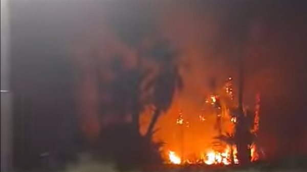 صور| السيطرة على حريق هائل بأشجار نخيل في إسنا جنوب الأقصر صور| السيطرة على حريق هائل بأشجار نخيل في إسنا جنوب الأقصر