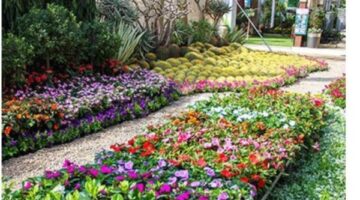 بعد غد.. افتتاح معرض زهور الربيع بالمتحف الزراعي بالدقي