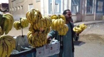 فرشة فاكهة في نص الطريق.. كشف ملابسات وقوف بائع متجول بشكل خاطئ بالقطامية