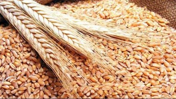 المالية تسدد 3 مليارات جنيه الأسبوع المقبل باقي مستحقات المزارعين الذين وردوا محصول القطن المالية تسدد 3 مليارات جنيه الأسبوع المقبل باقي مستحقات المزارعين الذين وردوا محصول القطن