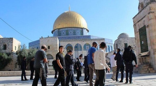 الأردن يدين اقتحام أعضاء من الكنيست الإسرائيلي للمسجد الأقصى المبارك الأردن يدين اقتحام أعضاء من الكنيست الإسرائيلي للمسجد الأقصى المبارك