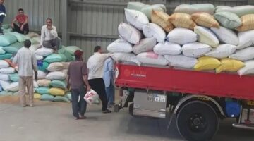 تموين الشرقية: توريد 594 طن قمح للشون والصوامع