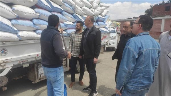 استقبال 594 طن قمح لشون وصوامع الشرقية استقبال 594 طن قمح لشون وصوامع الشرقية