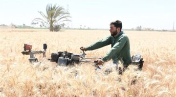 محافظ الفيوم يفتتح موسم حصاد القمح بأحد الحقول الزراعية بقصر رشوان.. صور