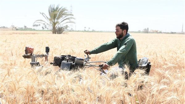 محافظ الفيوم يفتتح موسم حصاد القمح بأحد الحقول الزراعية بقصر رشوان.. صور محافظ الفيوم يفتتح موسم حصاد القمح بأحد الحقول الزراعية بقصر رشوان.. صور