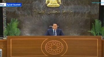 «مدبولي»: لدينا فرص واعدة بقطاعات عديدة ونعد حزمة تفصيلية في هذا الصدد