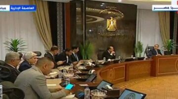 رئيس الوزراء بعلن إضافة 1150 ميجا إلى شبكة الكهرباء استعدادا لفصل الصيف