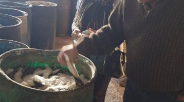ضبط 8 أطنان أسماك مجمدة ومدخنة مخالفة في الشرقية