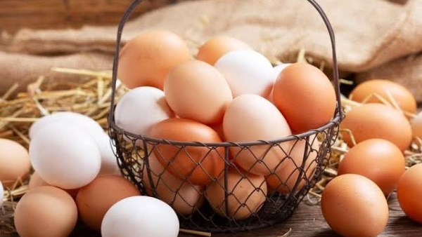 لهذه الأسباب.. بيضة واحدة يوميا على الإفطار تضمن لك صحة أفضل لهذه الأسباب.. بيضة واحدة يوميا على الإفطار تضمن لك صحة أفضل