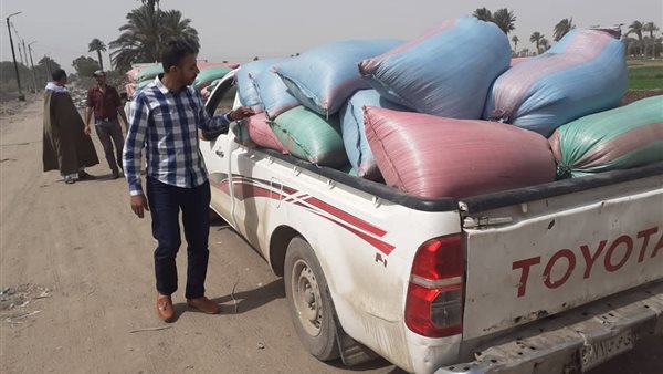 شون وصوامع المنيا تستقبل 3877 طنًا من محصول القمح لموسم حصاد 2025 شون وصوامع المنيا تستقبل 3877 طنًا من محصول القمح لموسم حصاد 2025