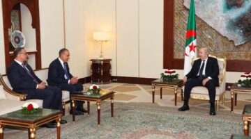 وزير الخارجية يسلم رسالة خطية من الرئيس السيسي إلى الرئيس الجزائري
