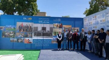 الزراعة: اللجنة المنظمة لـ معرض زهور الربيع تتابع الاستعدادات النهائية لانطلاقه بهذا الموعد