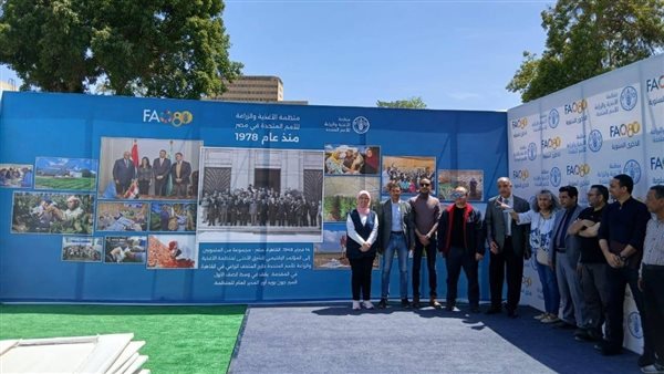 الزراعة: اللجنة المنظمة لـ معرض زهور الربيع تتابع الاستعدادات النهائية لانطلاقه بهذا الموعد الزراعة: اللجنة المنظمة لـ معرض زهور الربيع تتابع الاستعدادات النهائية لانطلاقه بهذا الموعد