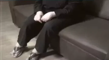 عصابة ازرع نخلة.. حبس معدي ومسؤولي إحدى القنوات بتهمة النصب على المواطنين