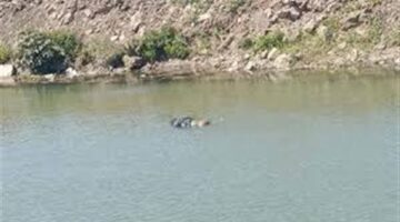 مباحث قسم طهطا تنجح في كشف لغز العثور على جثة مجهولة الهوية في ترعة بسوهاج