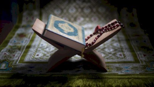 أحمد نبوي: لا تأخذوا دينكم من صفحات مجهولة.. والعلم له منهج وشيوخ ومؤسسات أحمد نبوي: لا تأخذوا دينكم من صفحات مجهولة.. والعلم له منهج وشيوخ ومؤسسات