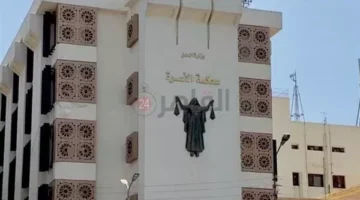 شخص يشكو زوجته لمحكمة الأسرة: بتكلم قطط الشارع وبتعزمني على فرحهم