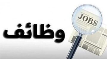 محافظة بورسعيد تعلن توفير 147 فرصة عمل جديدة لشباب الخريجين.. طريقة التقديم