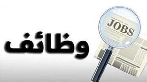 محافظة بورسعيد تعلن توفير 147 فرصة عمل جديدة لشباب الخريجين.. طريقة التقديم