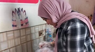 ضبط 391.4 كيلو جرام لحوم وأسماك غير صالحة.. وتحرير 11 محضرًا لمخالفات غذائية بكفر الشيخ