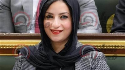 اقتراح برلماني لتنظيم ومراقبة الحملات الخيرية والإعلامية في مصر اقتراح برلماني لتنظيم ومراقبة الحملات الخيرية والإعلامية في مصر