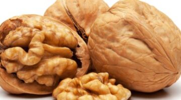 لا تستغنِ عنه هذا الصيف: 7 فوائد مذهلة لعين الجمل