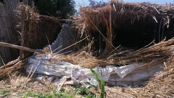 محافظ المنوفية : إزالة 475 حالة تعدٍ منذ بدء المرحلة الثالثة من أعمال الموجة الـ25 محافظ المنوفية : إزالة 475 حالة تعدٍ منذ بدء المرحلة الثالثة من أعمال الموجة الـ25