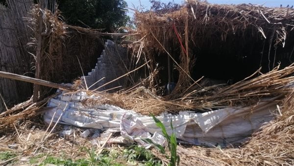 محافظ المنوفية: إزالة 475 حالة تعدٍ منذ بدء المرحلة الثالثة من أعمال الموجة الـ25
