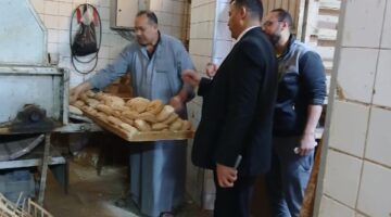 تحرير 654 محضر مخالفات وضبط 32 شيكارة دقيق بلدي وفاخر مجهولة المصدر بالمنوفية