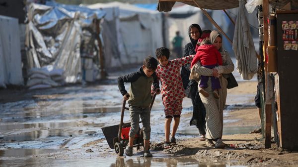 اليونسيف: لم تدخل أية شحنة مساعدات إلى قطاع غزة خلال الـ 65 يوما الماضية اليونسيف: لم تدخل أية شحنة مساعدات إلى قطاع غزة خلال الـ 65 يوما الماضية