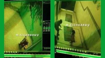 «ربطها وطلع بيها على السطح».. رجل يضرب طفلة ويعذبها في الإسكندرية – فيديو
