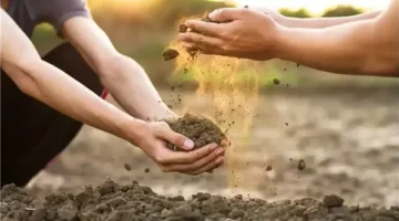 دار الإفتاء: الخير في خمسة أشياء.. تعرّف عليها