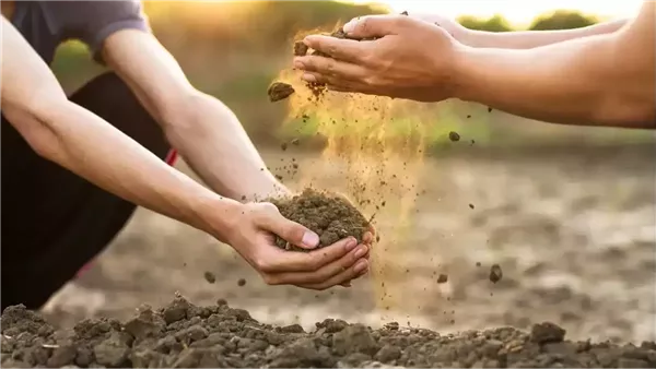دار الإفتاء: الخير في خمسة أشياء.. تعرّف عليها دار الإفتاء: الخير في خمسة أشياء.. تعرّف عليها