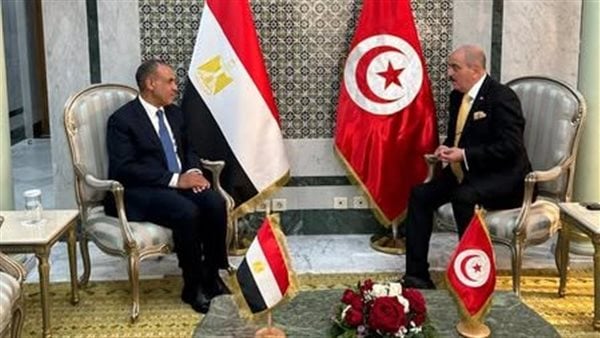وزير الخارجية يعقد جلسة مباحثات مع نظيره التونسي وزير الخارجية يعقد جلسة مباحثات مع نظيره التونسي