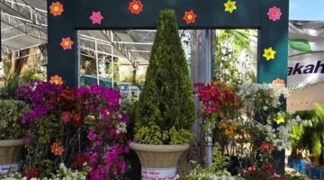 غدًا.. وزير الزراعة يفتتح معرض زهور الربيع في نسخته الـ92