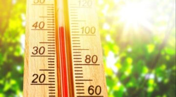 حالة الطقس السبت.. الأرصاد: بداية ارتفاع درجات الحرارة وتحذير من التقلبات