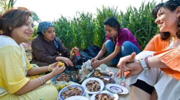 التنمية المحلية: استعدادات مكثفة لاستقبال أعياد شم النسيم في كل المحافظات