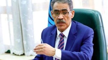 «الاستعلامات»: مصر تدافع عن أمنها القومي والقضية الفلسطينية وقدمت 75% من المساعدات لغزة