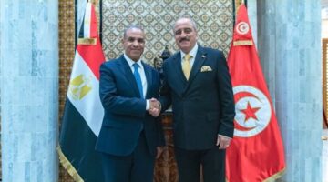 وزير الخارجية يبحث مع نظيره التونسي خطة إعمار غزة بوجود الفلسطينيين على أرضهم