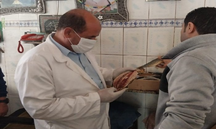 ضبط 8.5 طن أسماك غير صالحة في حملات مكثفة لـ بيطري الغربية استعدادًا لأعياد الربيع ضبط 8.5 طن أسماك غير صالحة في حملات مكثفة لـ بيطري الغربية استعدادًا لأعياد الربيع