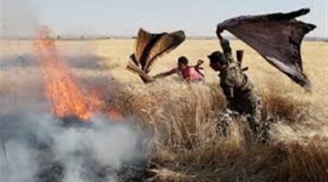 النيران تلتهم كمية من محصول القمح بمركز دار السلام في سوهاج
