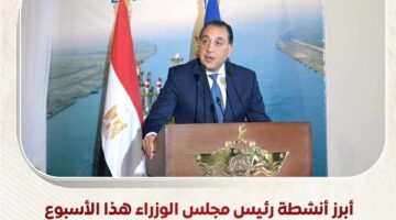 أبرز أنشطة رئيس مجلس الوزراء هذا الأسبوع.. خطة طموحة لإحياء "نزلة السمان" لتقديم تجربة سياحية متميزة.. و700 مليون دولار استثمارات بمحطة أمونت لطاقة الرياح