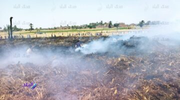 نشوب حريق في كمية من القمح بدار السلام في سوهاج