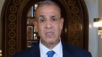 وزير الخارجية: بحثت مع الرئيس التونسي جهود مصر لوقف إطلاق النار في غزة وتعزيز الاستقرار الإقليمي