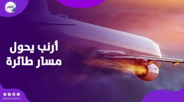 بسبب أرنب.. هبوط اضطراري لطائرة أمريكية بعد تدمير أحد محركاتها