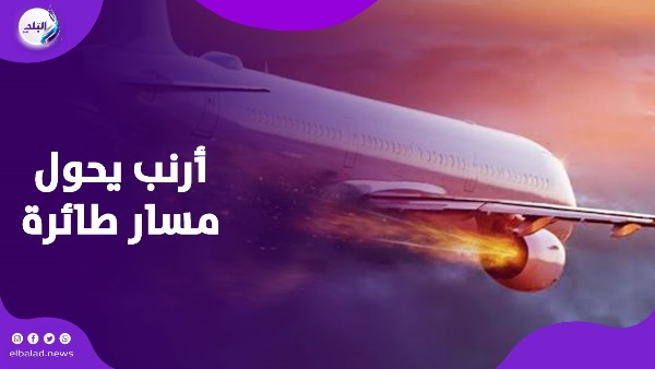 بسبب أرنب.. هبوط اضطراري لطائرة أمريكية بعد تدمير أحد محركاتها بسبب أرنب.. هبوط اضطراري لطائرة أمريكية بعد تدمير أحد محركاتها